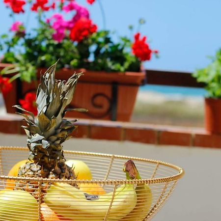 B&B Villa Rosella Петросино Экстерьер фото